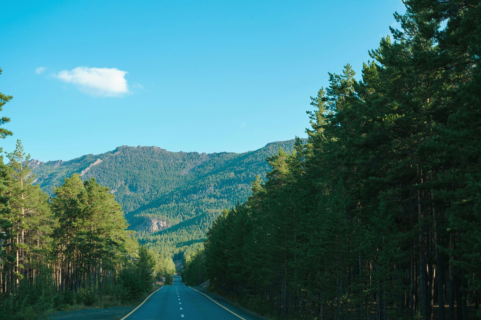 Scenic Highway Drive